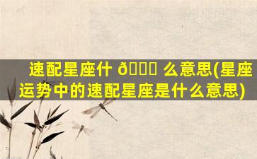 速配星座什 🐈 么意思(星座运势中的速配星座是什么意思)